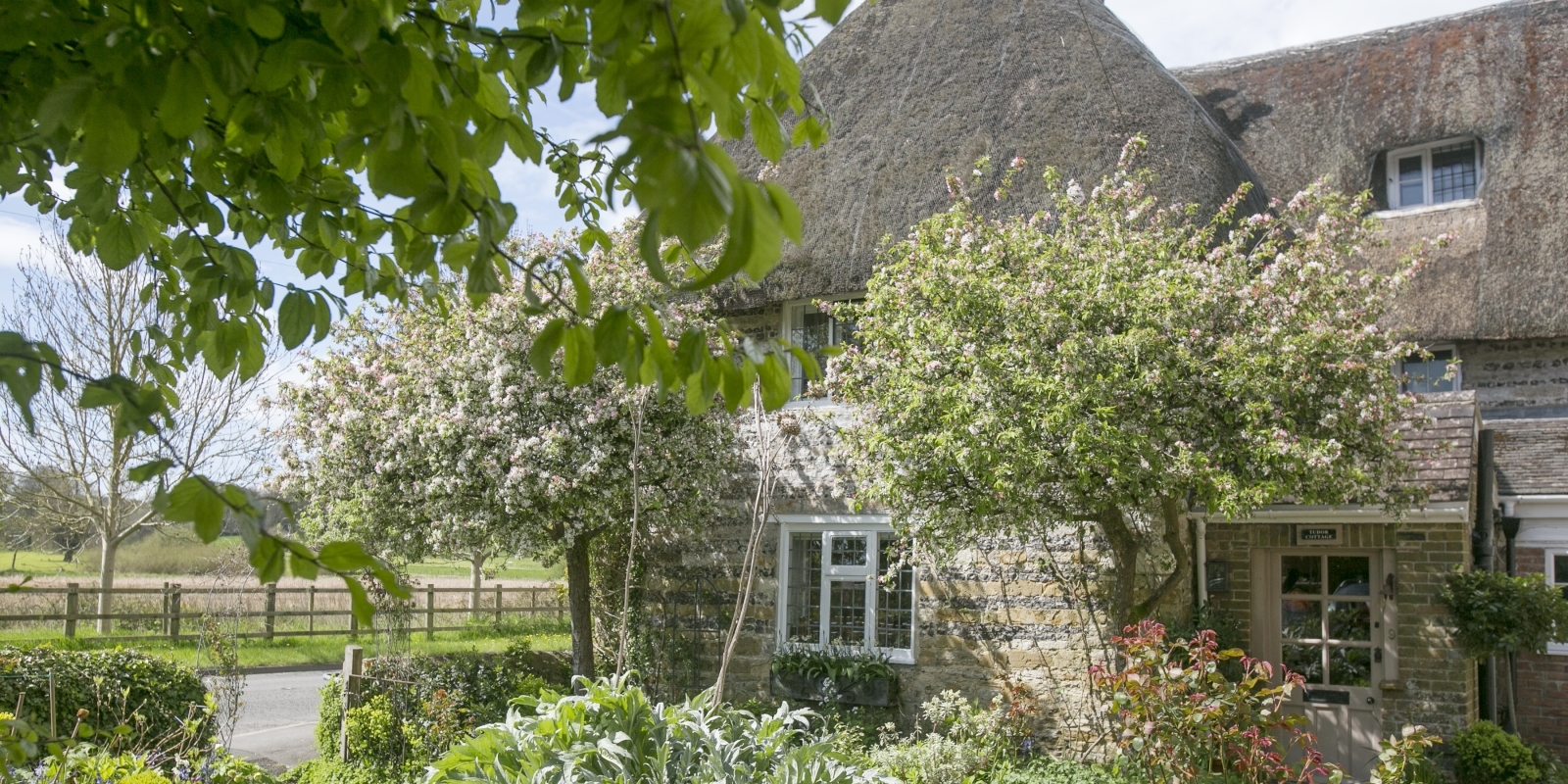 Tudor Cottage B&B in Frampton near Dorchester